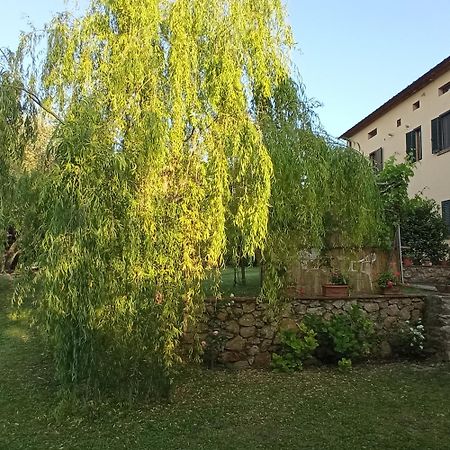 La Bellana Daire Guardistallo Dış mekan fotoğraf