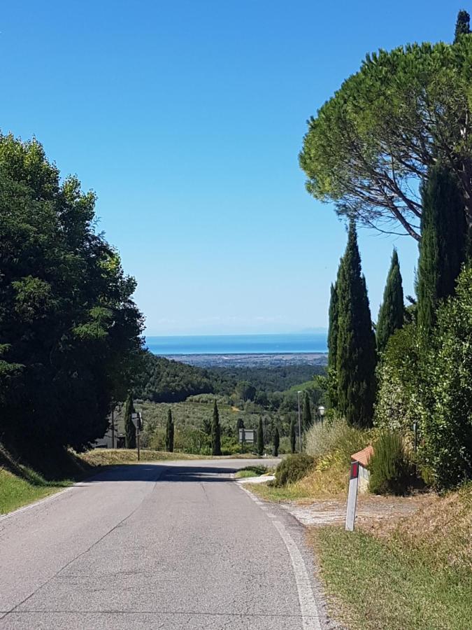 La Bellana Daire Guardistallo Dış mekan fotoğraf