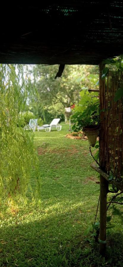 La Bellana Daire Guardistallo Dış mekan fotoğraf