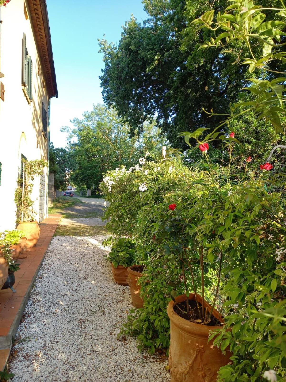 La Bellana Daire Guardistallo Dış mekan fotoğraf