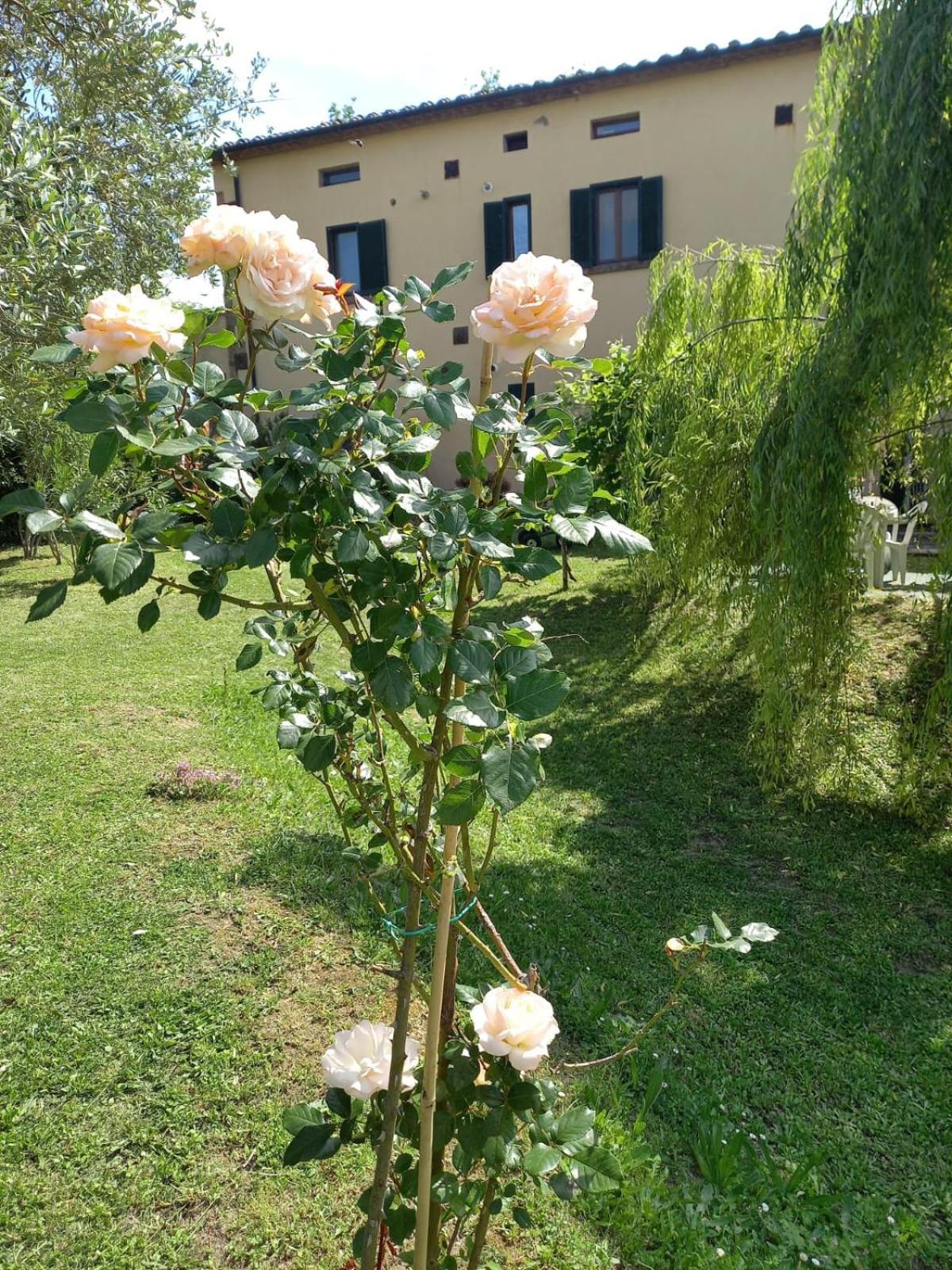 La Bellana Daire Guardistallo Dış mekan fotoğraf