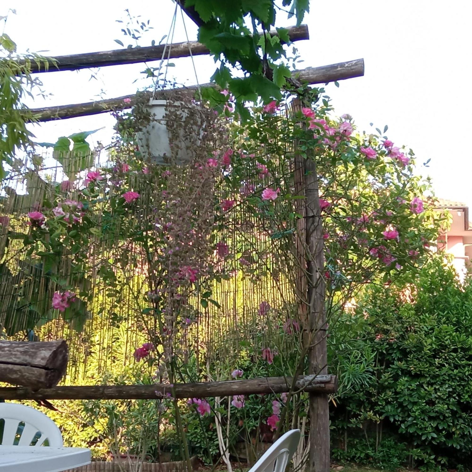 La Bellana Daire Guardistallo Dış mekan fotoğraf