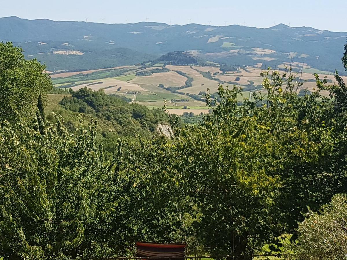 La Bellana Daire Guardistallo Dış mekan fotoğraf