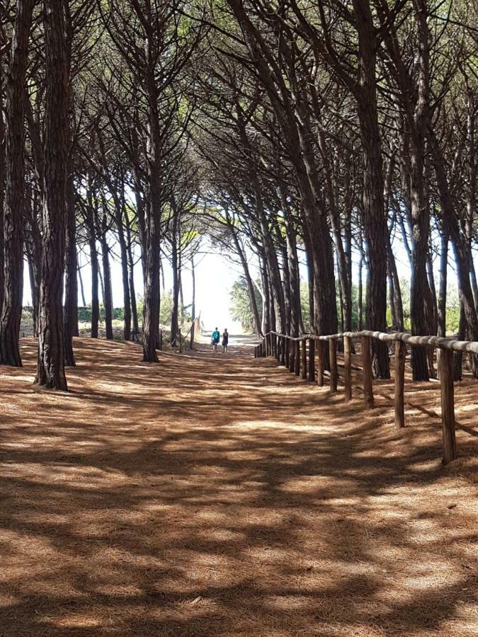 La Bellana Daire Guardistallo Dış mekan fotoğraf