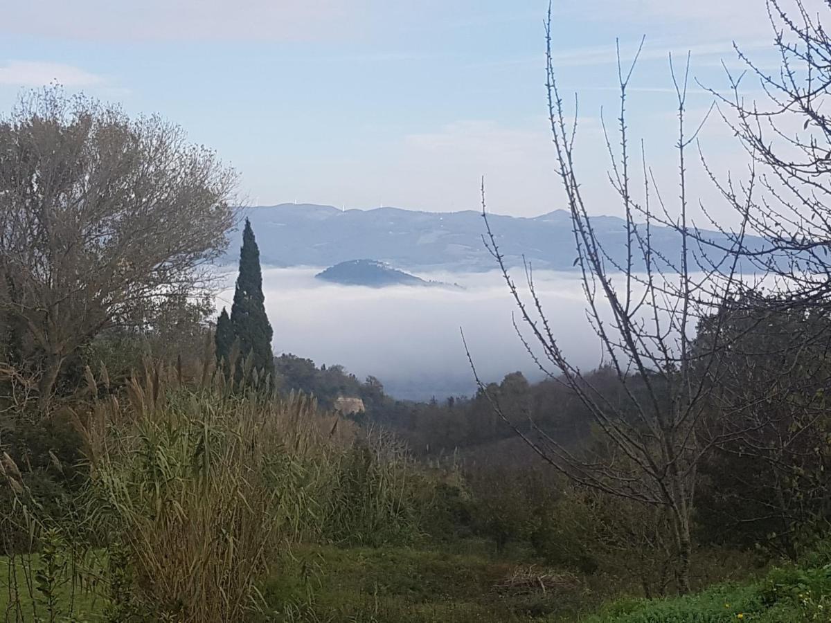 La Bellana Daire Guardistallo Dış mekan fotoğraf